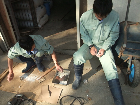 a0116430_15195846.jpg
