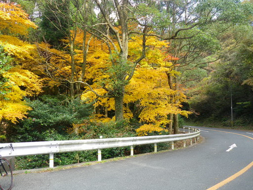 f0000330_17185926.jpg