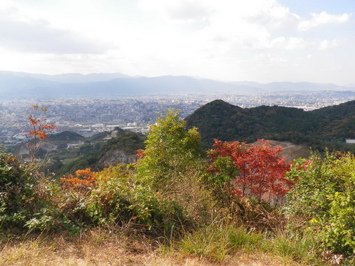f0000330_1737199.jpg