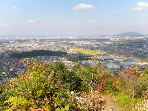 f0000330_173738.jpg