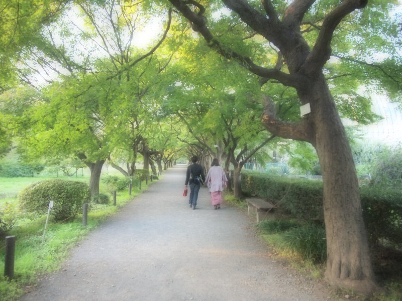 e0016732_0161566.jpg