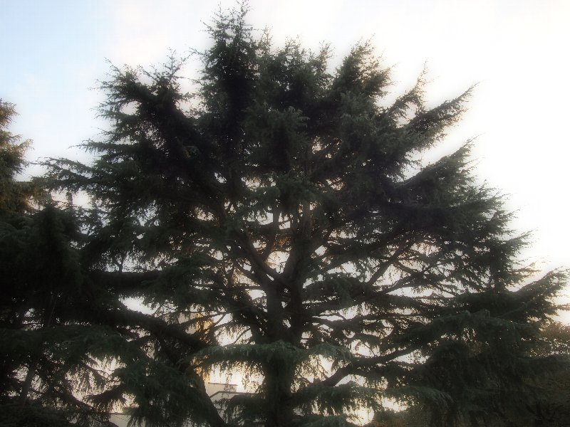 e0016732_0162271.jpg