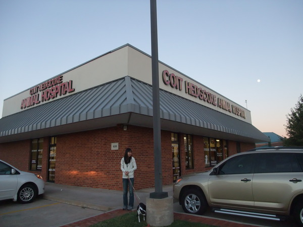 f0238932_11313346.jpg