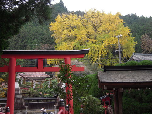 b0025633_16533271.jpg