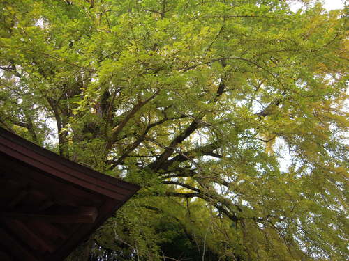 b0025633_16535699.jpg