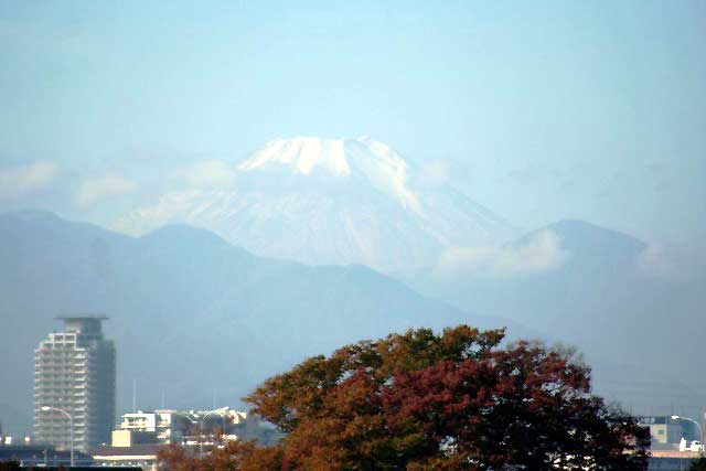 a0009035_18572881.jpg