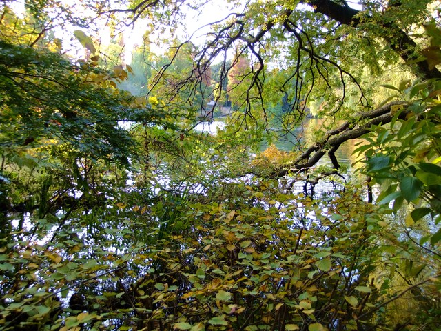 e0206242_11424997.jpg