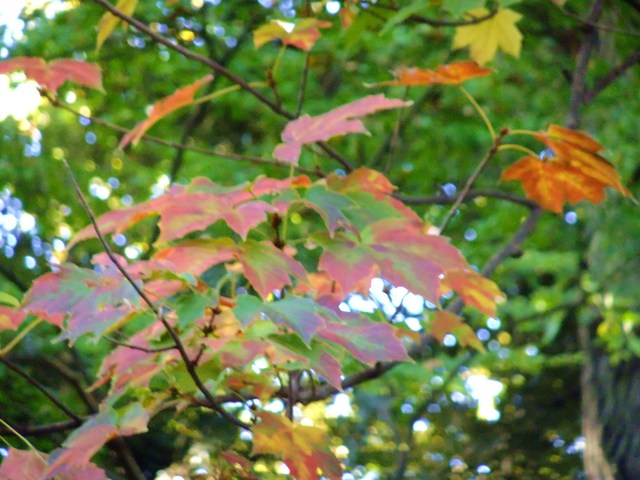 e0206242_11503679.jpg