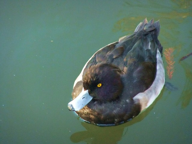 e0206242_1272283.jpg