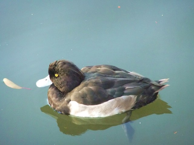 e0206242_1283139.jpg