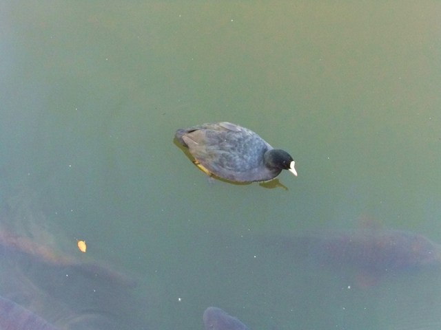 e0206242_1294025.jpg