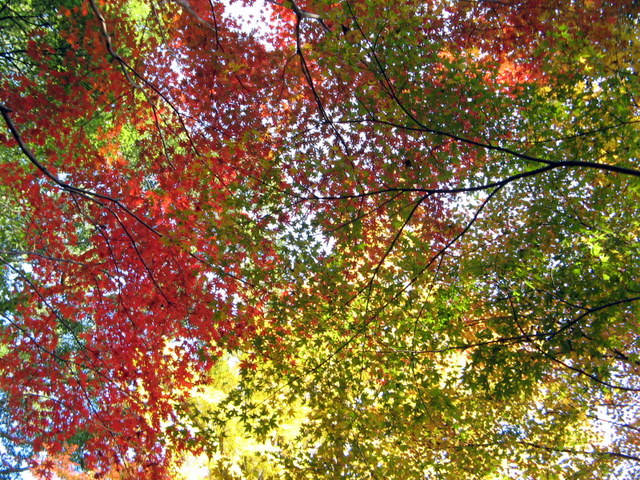 b0168843_17465615.jpg