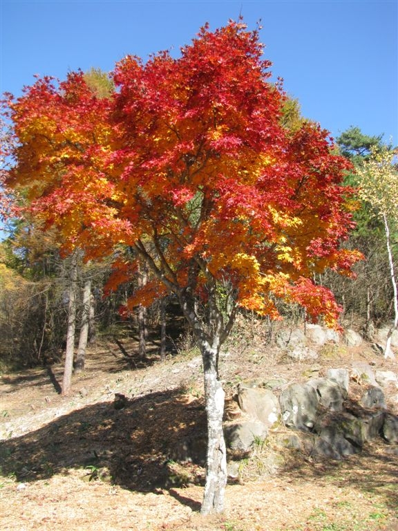 f0151044_1215940.jpg