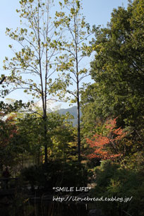 e0182147_519764.jpg