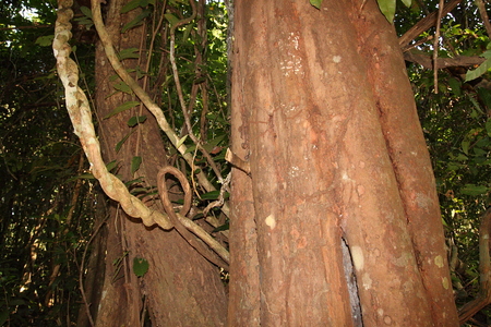 a0094850_11523444.jpg