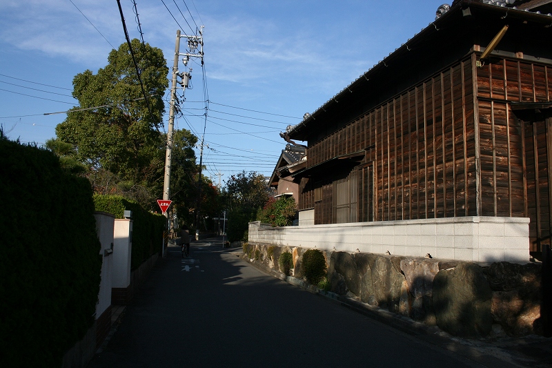 b0029350_2240167.jpg