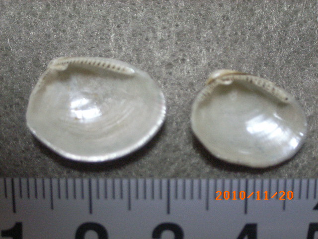 a0157451_2314176.jpg