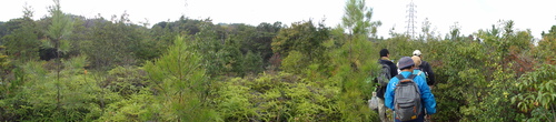 c0108460_23193751.jpg