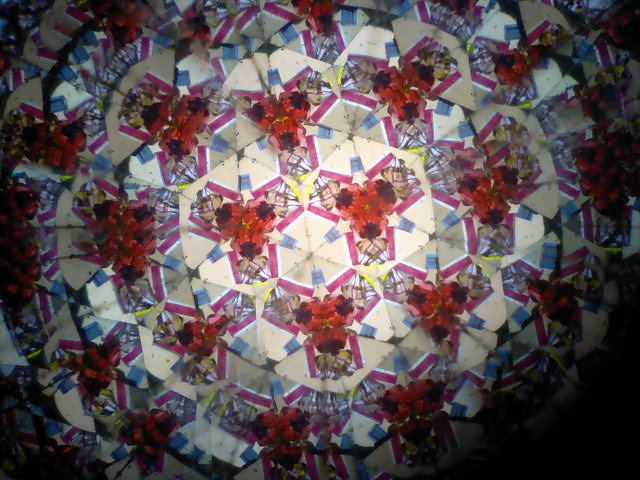 d0076760_21412052.jpg