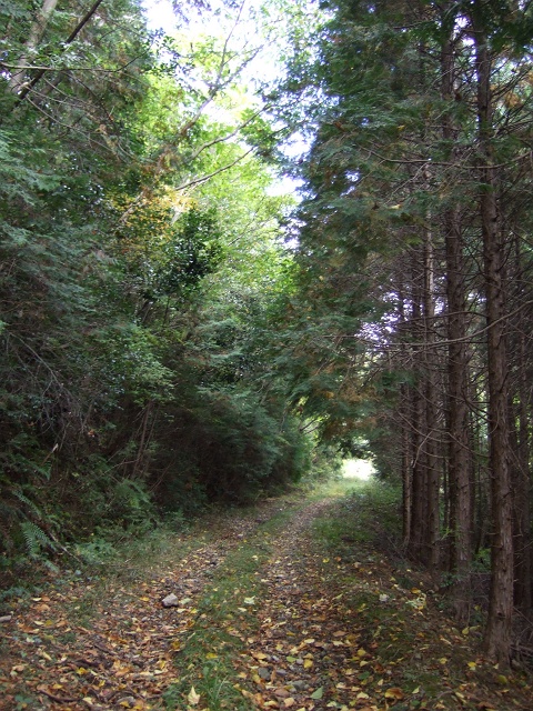 b0095061_12245370.jpg