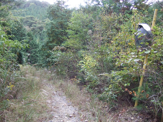 b0095061_12295626.jpg