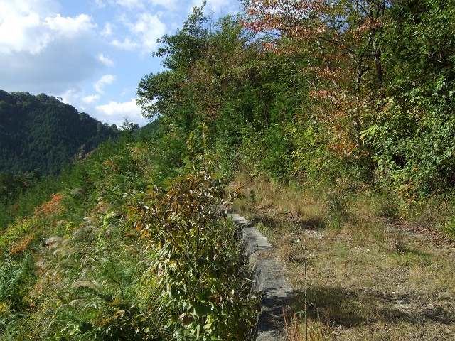 b0095061_12363749.jpg