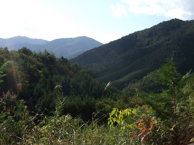 b0095061_12382045.jpg