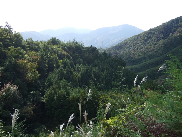 b0095061_12435890.jpg