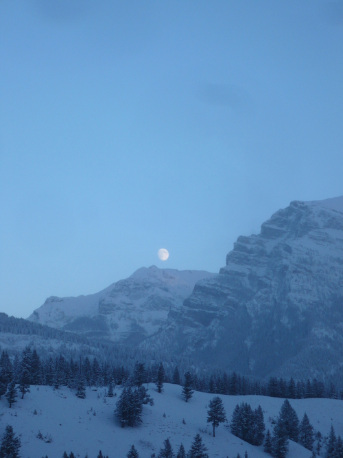 f0214562_922722.jpg