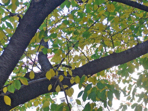 e0086864_059416.jpg