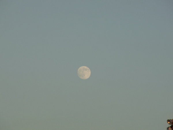 a0143465_233377.jpg