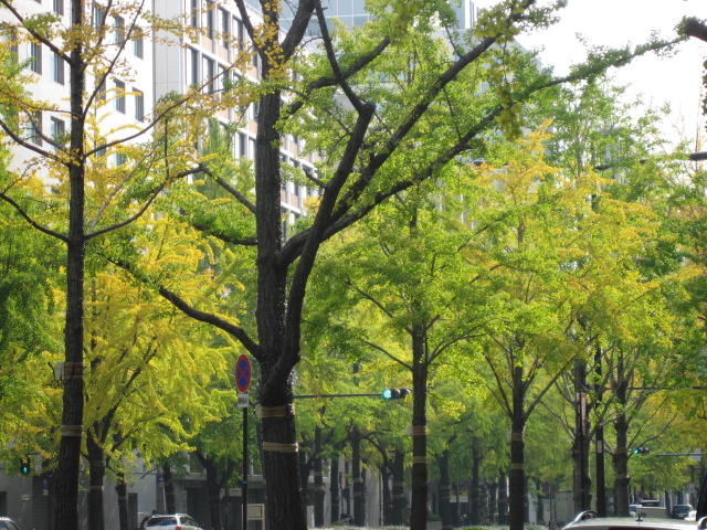 e0139165_226543.jpg