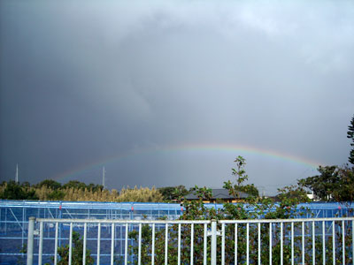 e0097770_18391729.jpg
