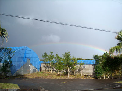 e0097770_1839347.jpg