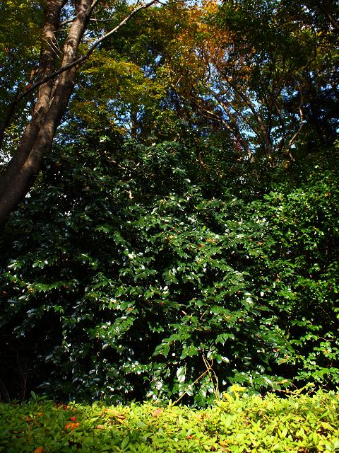 e0188677_2218786.jpg