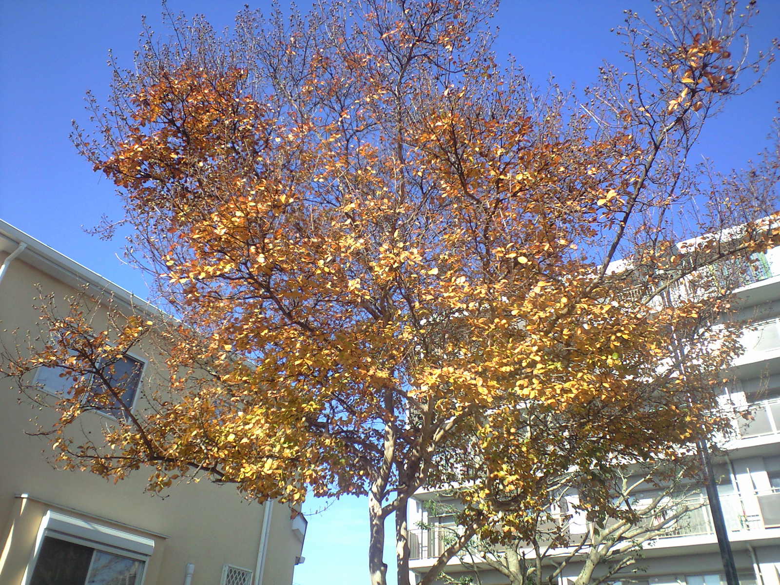 a0152078_2255552.jpg