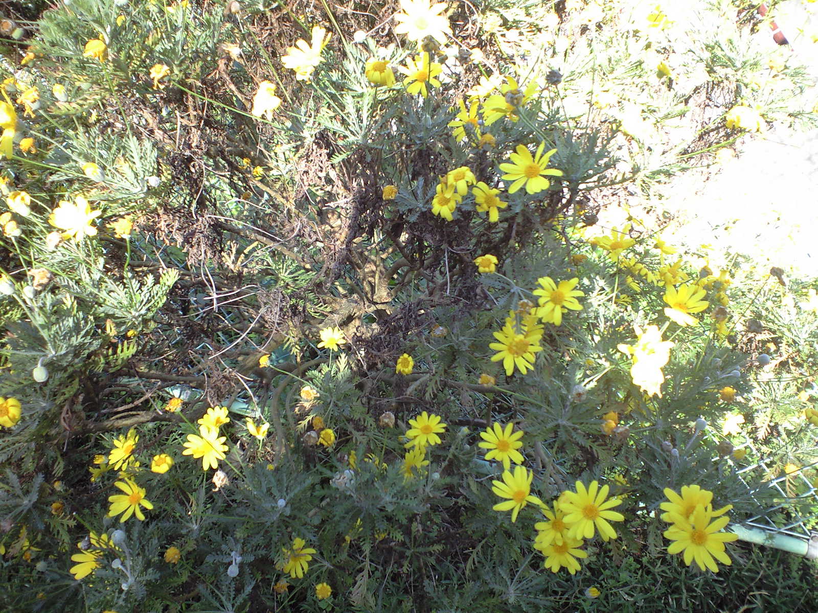 a0152078_2261746.jpg