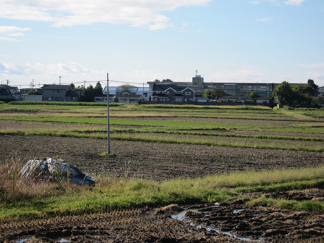 c0131478_23492582.jpg