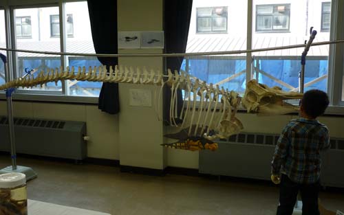f0092382_156211.jpg