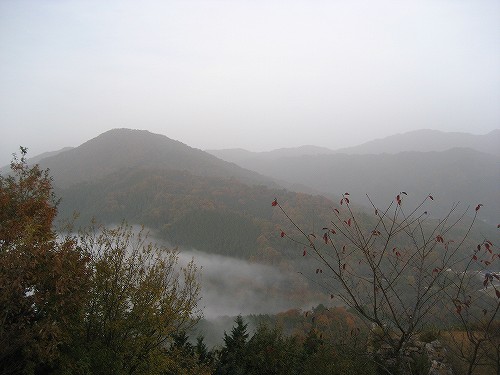 c0229483_821549.jpg