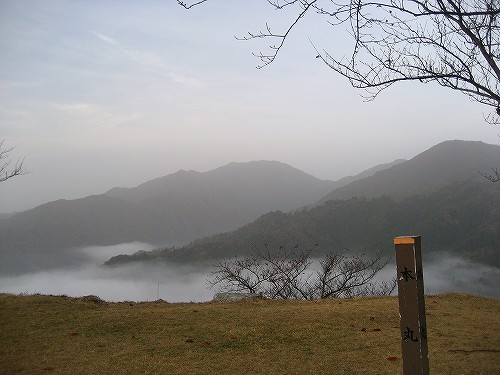 c0229483_824117.jpg