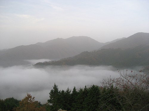 c0229483_8241530.jpg