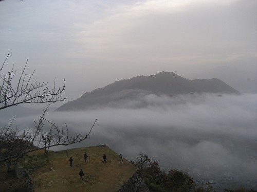 c0229483_8244744.jpg