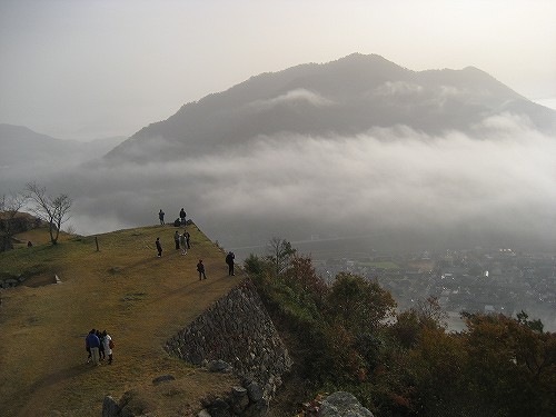 c0229483_8452672.jpg