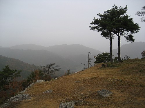 c0229483_8495462.jpg