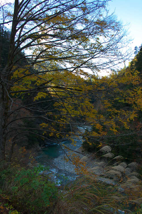 b0085684_14435478.jpg