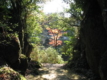 e0130185_1771489.jpg