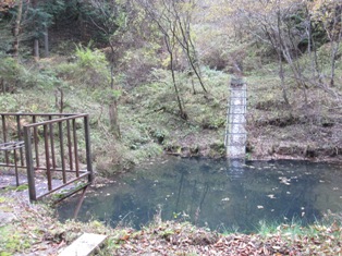 b0050787_03179.jpg