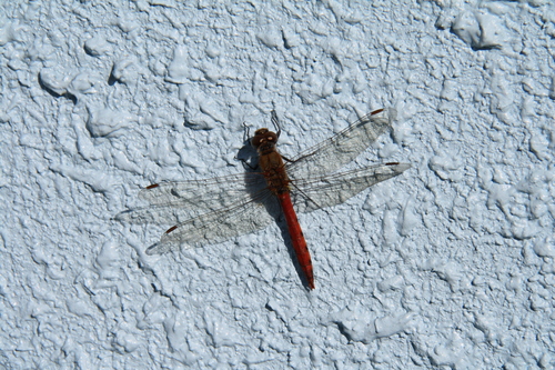 b0151893_1441054.jpg