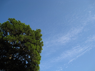 a0119494_174327.jpg